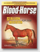 Bloodhorse
